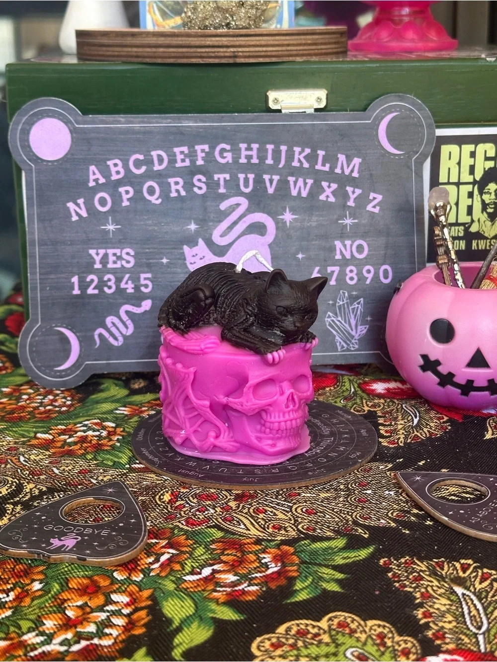 Cat on Skull Candle